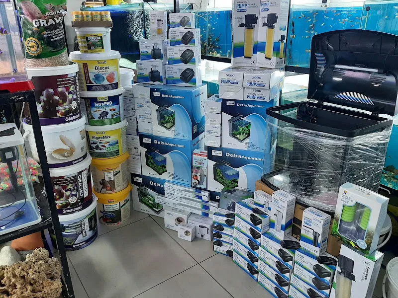 Samsun Amazon Pet Center foto 2