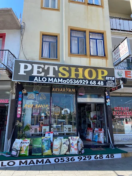 J’lo Pet Shop foto 1