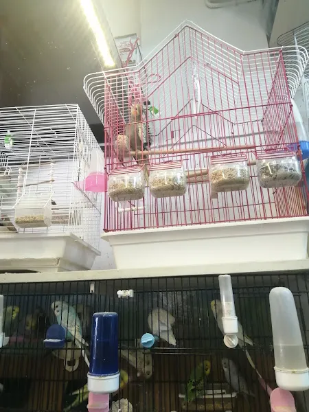 Neşeli Pet Shop foto 1