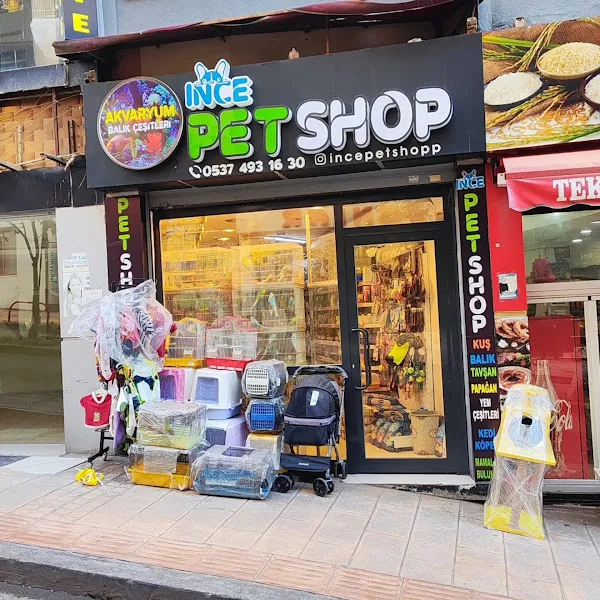 İnce petshop foto 1