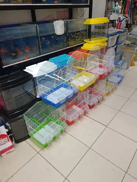 İnce petshop foto 2