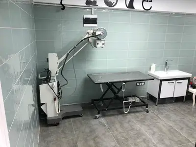 Eksen Veteriner Kliniği