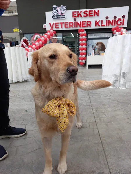 Eksen Veteriner Kliniği foto 2