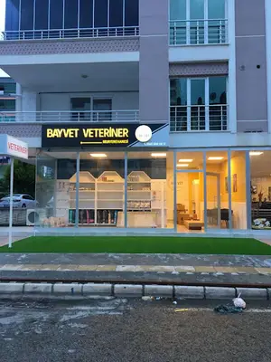 Bayvet Veteriner Muayenehanesi