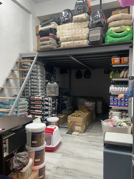 Albil Pet, Evcil Hayvan Mama, Aksesuar foto 2