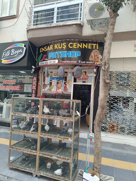 Ensar kuş cenneti petshop foto 1