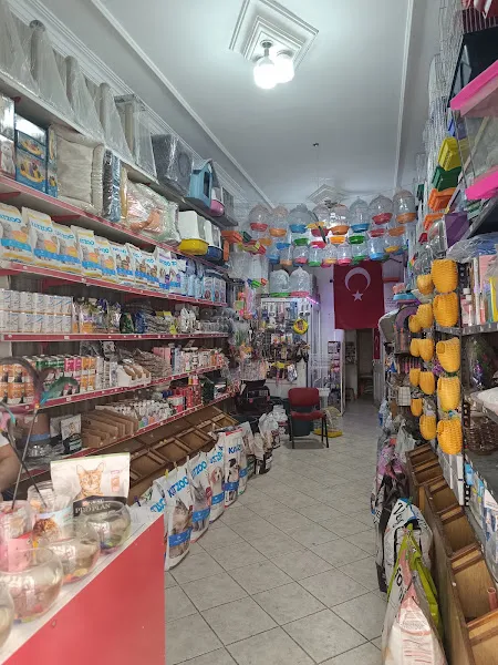 Ensar kuş cenneti petshop foto 2