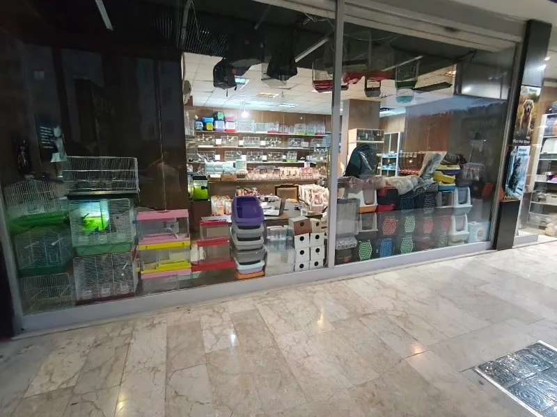 pati petshop mama dünyası foto 2