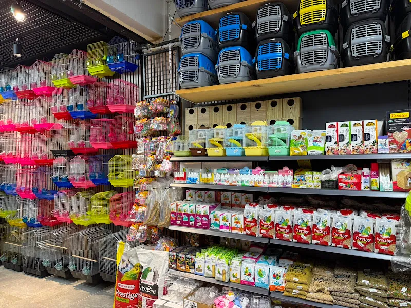 Han Akvaryum Petshop foto 1