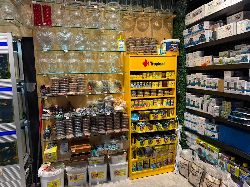 Han Akvaryum Petshop foto 2