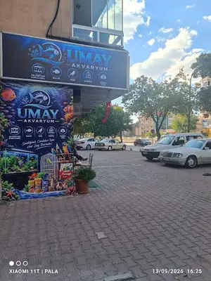 UMAY AKVARYUM