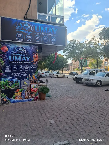 UMAY AKVARYUM foto 1