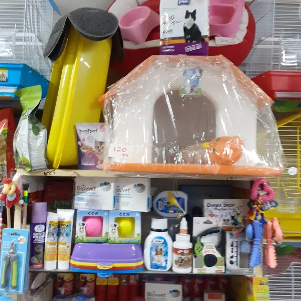 Çorlu Petshop Elif Petshop foto 2