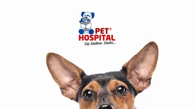 Pet Hospital GOP