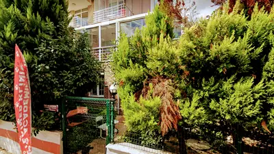 G&G Academia Veteriner Tanı Ve Tedavi Merkezi