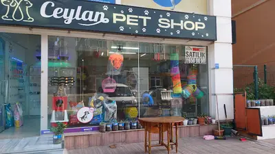 Ceylan Petshop | Ceylan Koltuk Döşeme