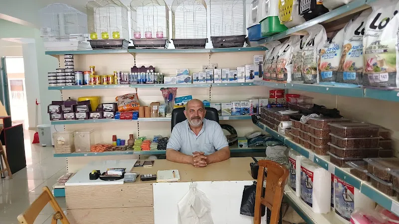 Ceylan Petshop | Ceylan Koltuk Döşeme foto 2