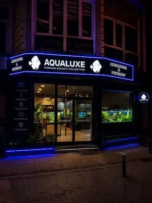 AQUALUXE Akvaryum ve Petshop