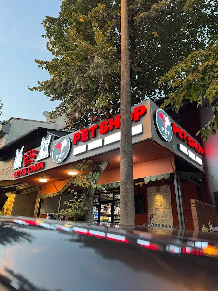 Pet216 Petshop & Pet Otel - Kadıköy Acıbadem foto 2