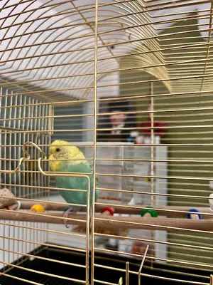 Tofuvet Veteriner Kliniği