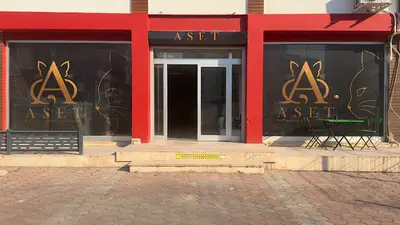 Aset Pet - Aset Global