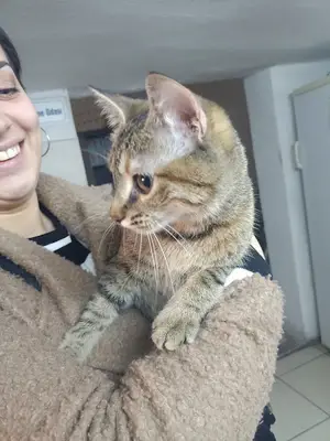 Dost Veteriner Kliniği