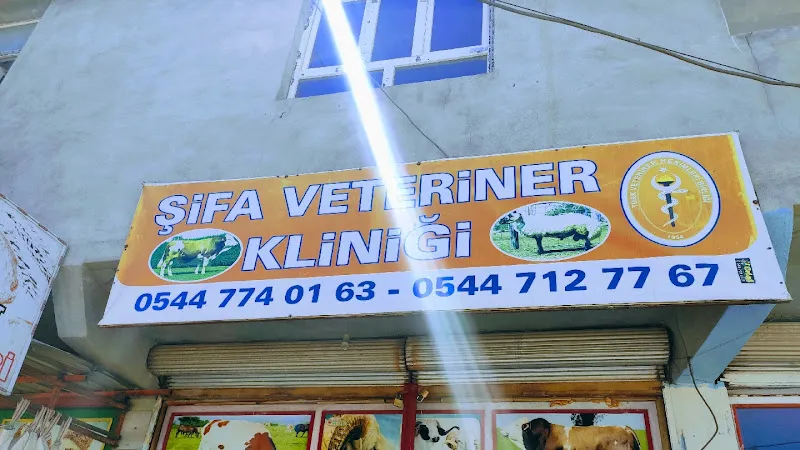 ŞİFA1 VETERİNER KİLİNİGİ foto 1