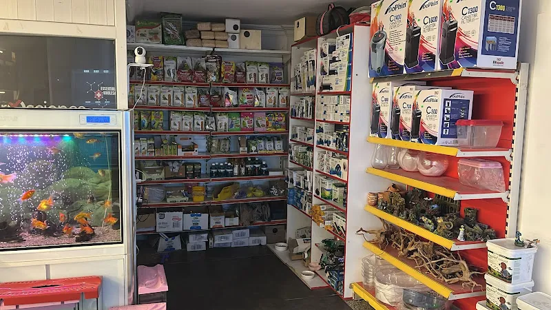 Aşi̇yan Pet Shop foto 2