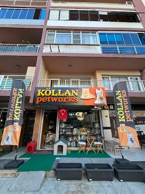 Köllan Petworks