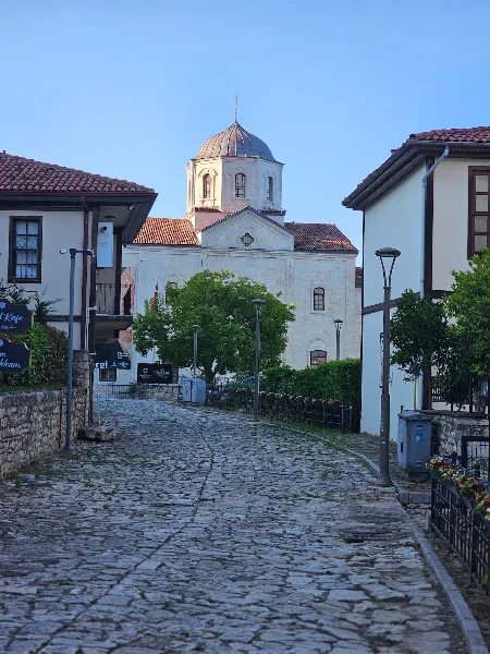 Altınordu Kedi Köyü foto 2