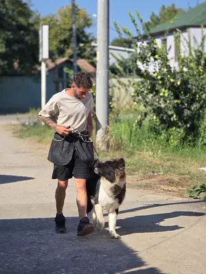 Dogflow&köpek eğitim merkezi