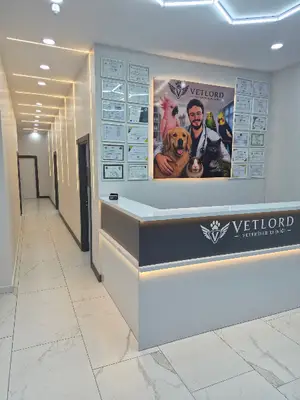VETLORD VETERİNER KLİNİĞİ