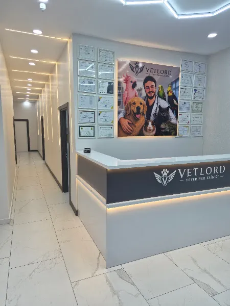 VETLORD VETERİNER KLİNİĞİ foto 1