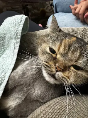 Spradon Veteriner Kliniği fotoğrafı