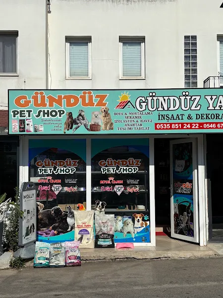 GÜNDÜZ PET SHOP foto 2