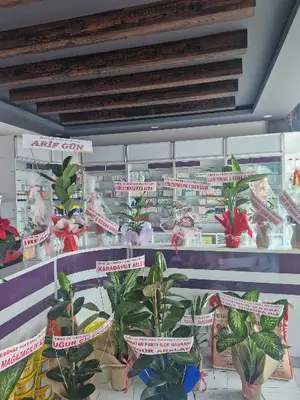 ÇEKEREK VETERİNER KLİNİĞİ fotoğrafı