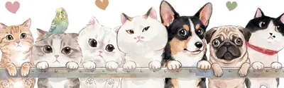 ARYE PET SHOP