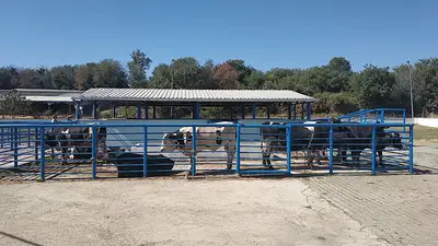 Gelibolu Belediyesi Hayvan Bakım Evi